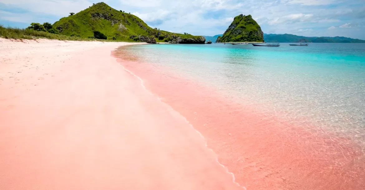 Pantai Pink Lombok