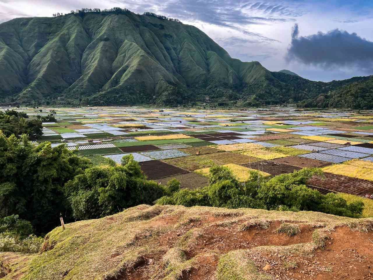 Sembalun Lombok